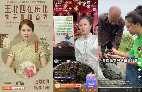 木耳最新直播在线视频