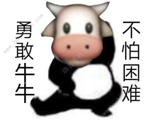 牛牛日在线视频,揭秘热门在线视频平台的魅力与挑战