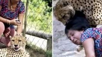 午夜猎豹高清在线视频,惊心动魄的高清视听盛宴