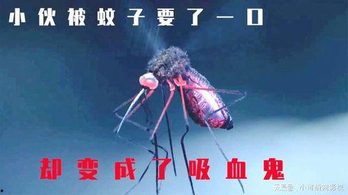 蚊子僵尸在线视频,揭秘神秘病毒变异之谜