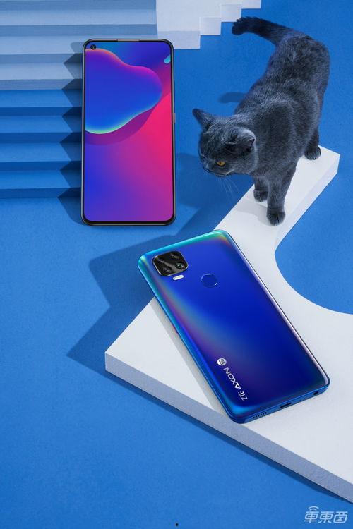 手机在线视频98,揭秘热门短视频背后的秘密