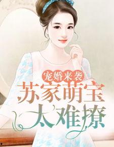 宠婚来袭在线视频,甜蜜爱情与温馨家庭的甜蜜碰撞