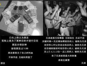 另类合集在线视频播放,另类合集在线视频盛宴