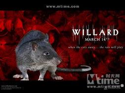 驭鼠怪人在线视频 第1张 驭鼠怪人在线视频 第1张