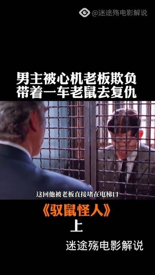 驭鼠怪人在线视频 第2张 驭鼠怪人在线视频 第2张