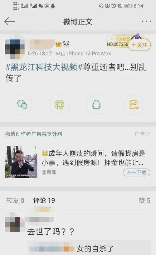 在线视频黑龙江科技视频,探索前沿，创新驱动发展  第2张