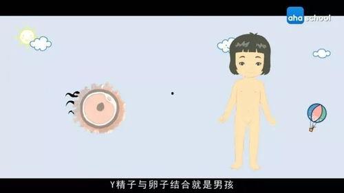 教育指导动画在线视频,教育指导的精彩呈现  第1张