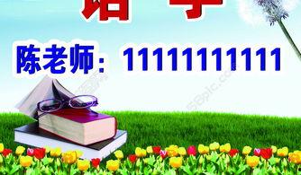 教育指导动画在线视频,教育指导的精彩呈现  第3张