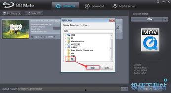 网络在线视频视频格式  第2张