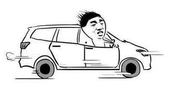 买车叫声在线视频观看,在线视频见证买车叫声瞬间  第3张