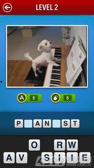 在线视频猜人游戏  第3张