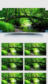 小桥早苗在线视频,探寻日本时尚界的魅力风采  第1张