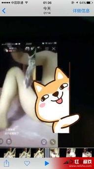 黄鳝女主播的在线视频,网络红人的崛起与争议  第1张