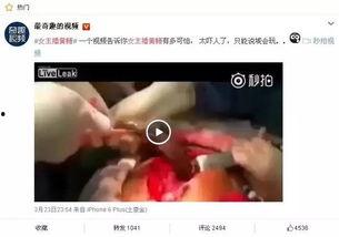 黄鳝女主播的在线视频,网络红人的崛起与争议  第3张