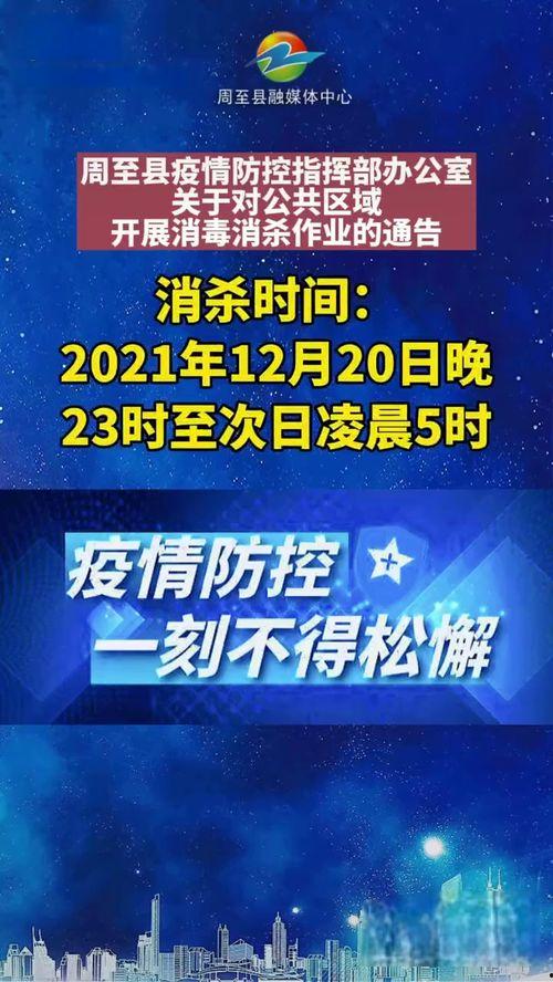 周至新闻在线视频,聚焦本土热点，呈现精彩瞬间  第3张