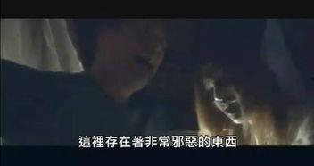 撸到死在线视频,揭秘在线视频的狂热魅力与潜在风险 第2张 撸到死在线视频,揭秘在线视频的狂热魅力与潜在风险 第2张