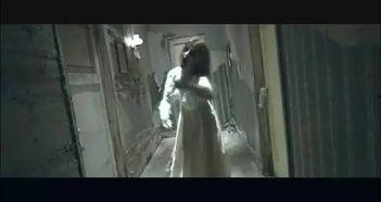 撸到死在线视频,揭秘在线视频的狂热魅力与潜在风险 第3张 撸到死在线视频,揭秘在线视频的狂热魅力与潜在风险 第3张