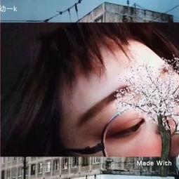 好吊爱在线视频,揭秘热门短视频的魅力与影响