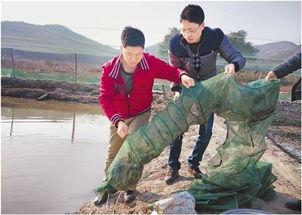 泥鳅门 在线视频,揭秘神秘水下世界的奇幻之旅 第2张 泥鳅门 在线视频,揭秘神秘水下世界的奇幻之旅 第2张