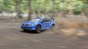 树林里那些事在线视频,揭秘在线视频中的神秘森林故事