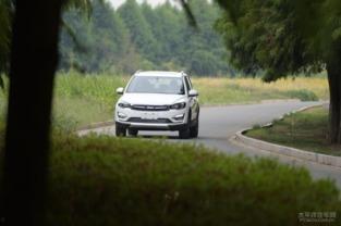 树林里那些事在线视频,揭秘在线视频中的神秘森林故事